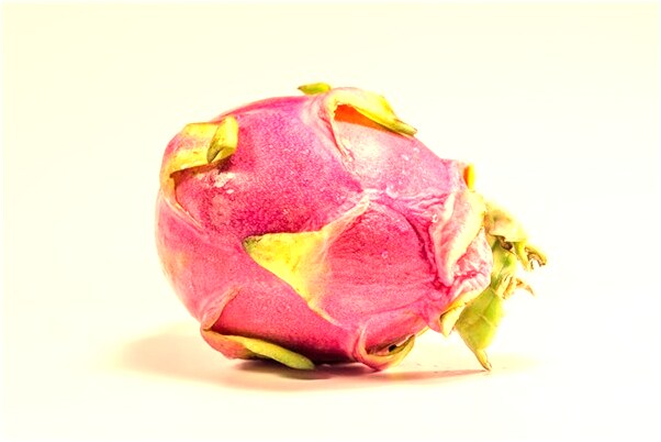 夢到金色大狗是好是壞_周公解夢官網