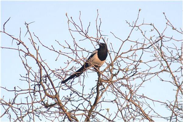 夢見親人溺水而亡有什麼預示嗎_周公解夢官網