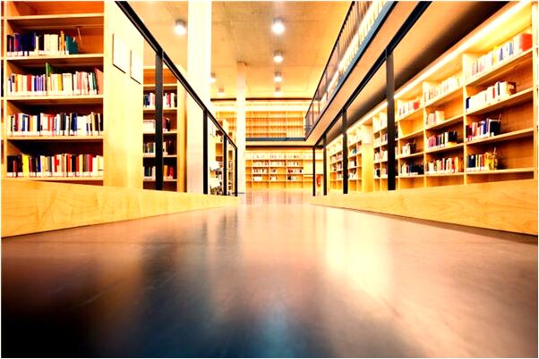 夢到了貓抓兔子有什麼徵兆_周公解夢官網