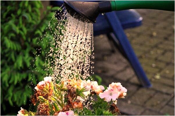 夢到了情人回到懷抱預示什麼_周公解夢官網