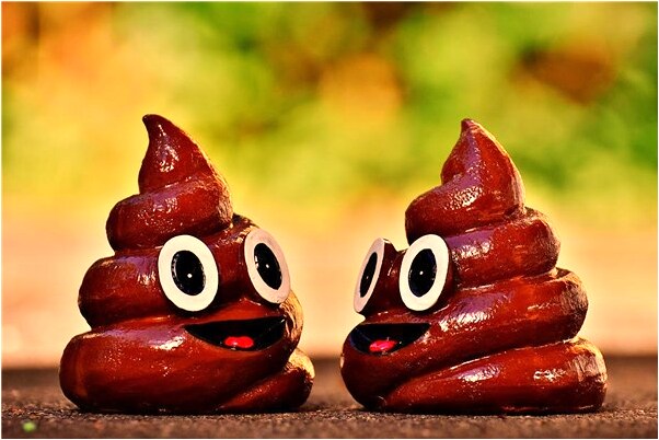 夢到了吃豬心沒味道意味著什麼_周公解夢官網