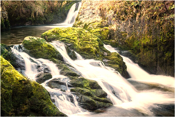 夢見領導向我訴說工作無奈意味著什麼_周公解夢官網