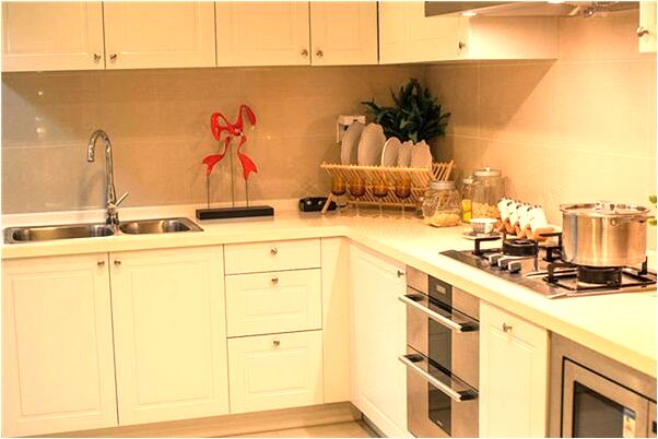 夢見懷孕白狐是吉兆嗎?_周公解夢官網