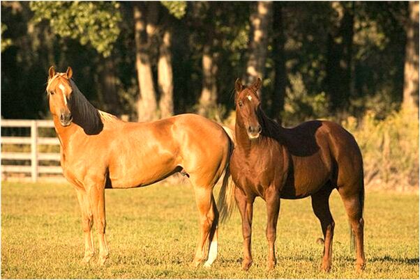 夢見淘寶的衣服到了代表著什麼？_周公解夢官網