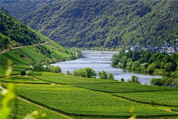 夢到水河什麼預兆_周公解夢