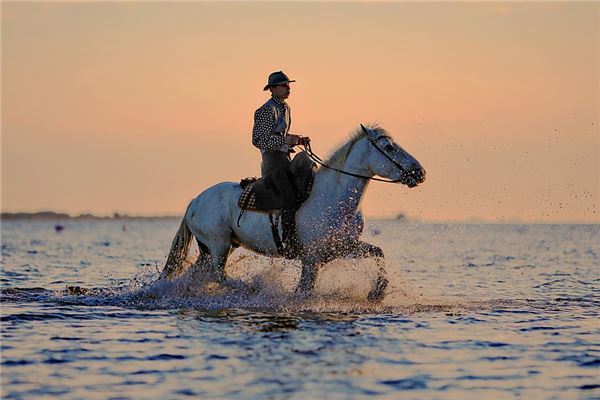 夢見騎馬是什麼兆頭_周公解夢