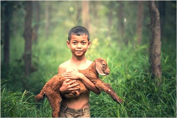 夢見摔了好多東西意味著什麼_周公解夢官網