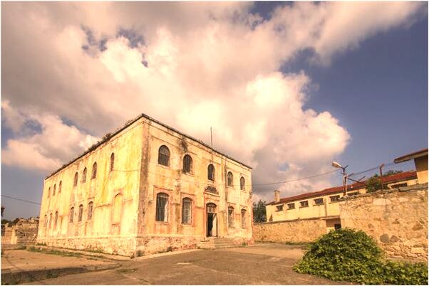 夢見青蛙快斷氣預示著什麼_周公解夢官網