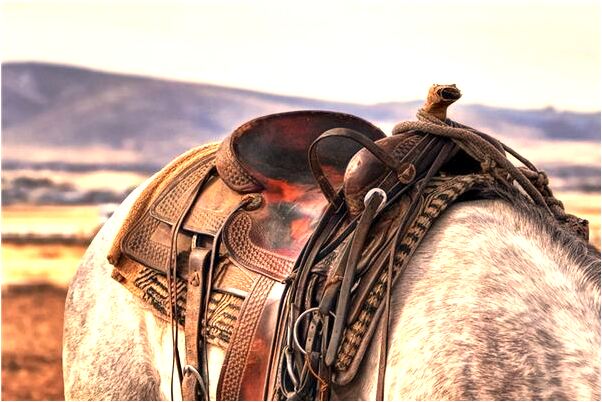 夢見我從盛滿水的井旁經過是怎么回事_周公解夢官網