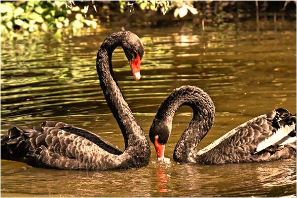 夢見初戀男友對著自己笑是啥預兆_周公解夢官網