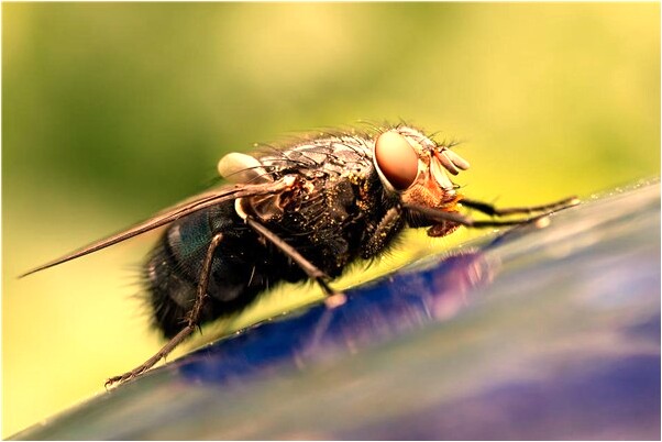 夢到朋友死了的墳頭有什麼寓意嗎？_周公解夢官網