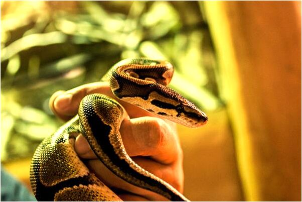 夢到了杯子被男朋友摔碎有什麼寓意嗎_周公解夢官網