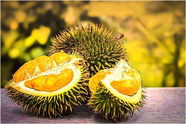 夢見給別人桃子怎么說_周公解夢官網