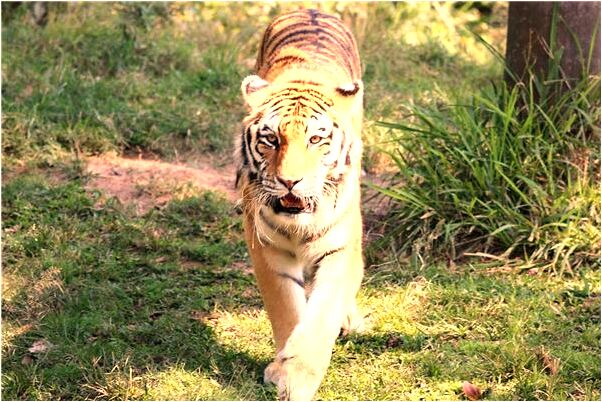 夢到了剛去世的親人送自己被子是啥意思_周公解夢官網