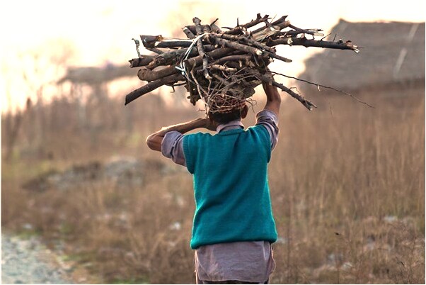 夢到從雞蛋里出來好多蛆意味著什麼_周公解夢官網