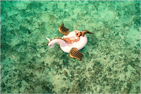 夢到了捉住青蛙意味著什麼_周公解夢官網