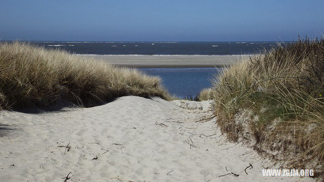 夢見和同事去偷雞_周公解夢夢到和同事去偷雞是什麼意思_做夢夢見和同事去偷雞好不好_周公解夢官網