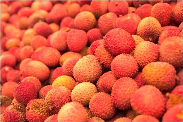 夢見被便衣警察逮捕會是什麼預兆_周公解夢官網