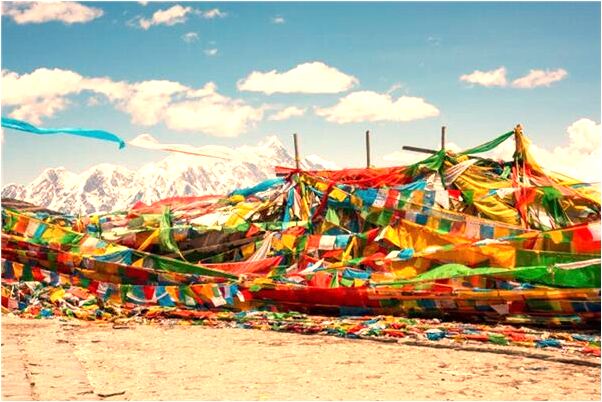 夢到了和許多人一起釣魚是什麼預兆？_周公解夢官網