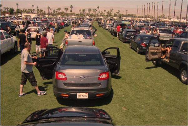 夢見肚子裡取軟蟲和甲蟲是什麼預兆？_周公解夢官網