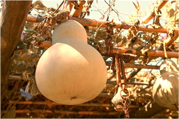 夢見死人掉眼淚是啥預兆_周公解夢官網