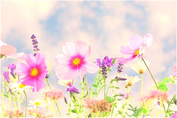 夢到有人勸我在原單位競爭領導意味什麼_周公解夢官網