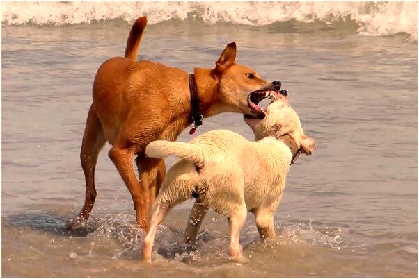 夢到了身邊有人被割腕並且流血是啥預兆_周公解夢官網