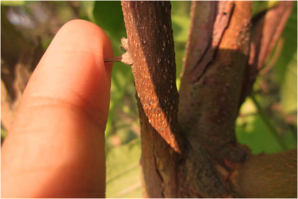 夢見飛機掉下水是什麼意思？_周公解夢官網