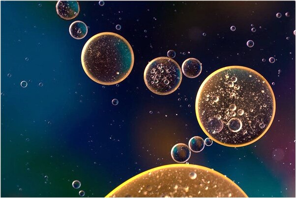 夢到了人的欲望是啥預兆_周公解夢官網