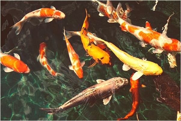 夢見發小反目是不是好的徵兆呢_周公解夢官網