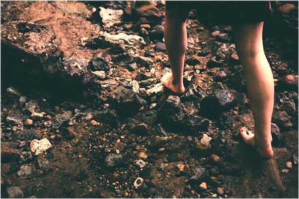 夢到了大黑貓抓著不放是什麼意思_周公解夢官網