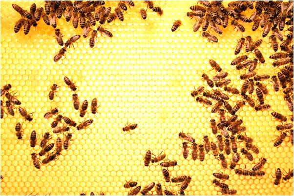 夢到了被女生扇耳光啥意思_周公解夢官網