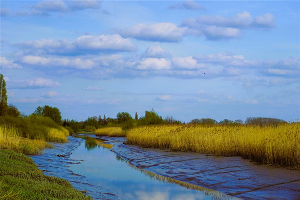 夢到了河灘有什麼徵兆_周公解夢