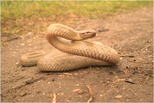 夢到了父親死去我哭的預兆_周公解夢官網