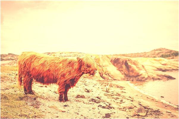 夢到在課堂里怎么說_周公解夢官網