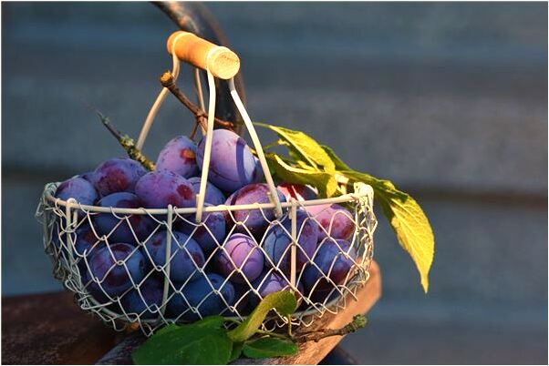 夢到了雙腿沒了是什麼徵兆_周公解夢官網