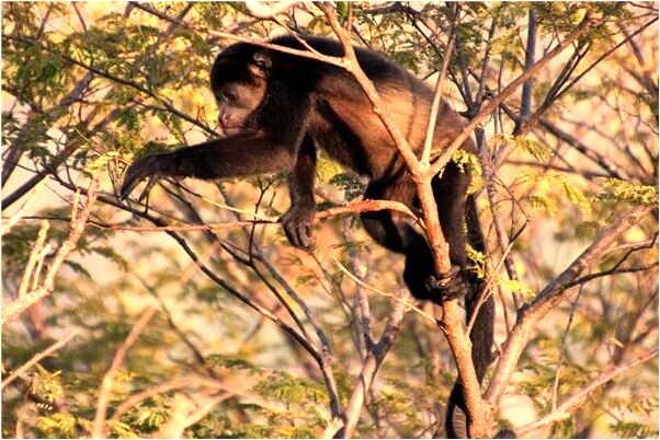 夢到了寶寶被嚇醒大哭會有什麼預兆_周公解夢官網