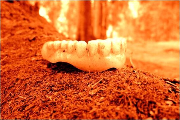 夢到一堆糞便有蒼蠅是凶兆還是吉兆_周公解夢官網