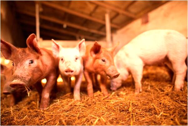 夢見背著小孩在水裡走代表什麼_周公解夢官網