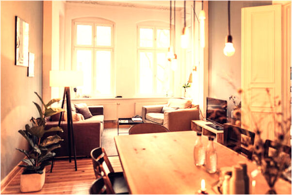 夢到一大一小的貓有何寓意_周公解夢官網