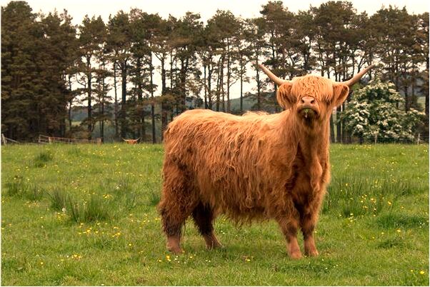 夢到同學向自己吐口水是什麼意思？_周公解夢官網