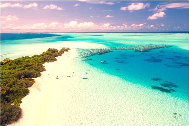 夢見有人送蜂蜜是好事還是壞事_周公解夢官網