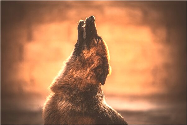 夢見被三個流氓圍攻有什麼含義_周公解夢官網