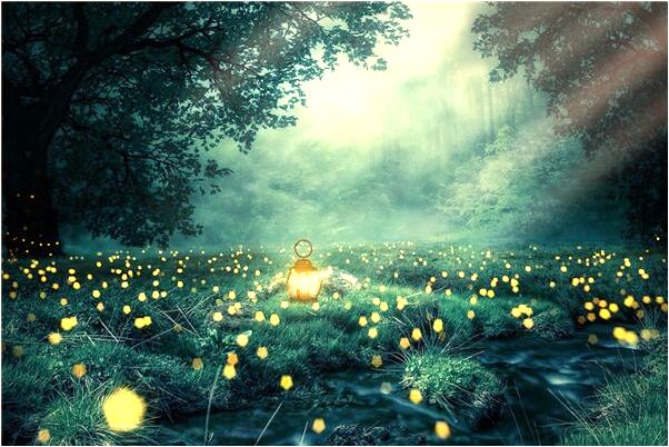 夢到睡蘿中看文章是吉兆嗎?_周公解夢官網