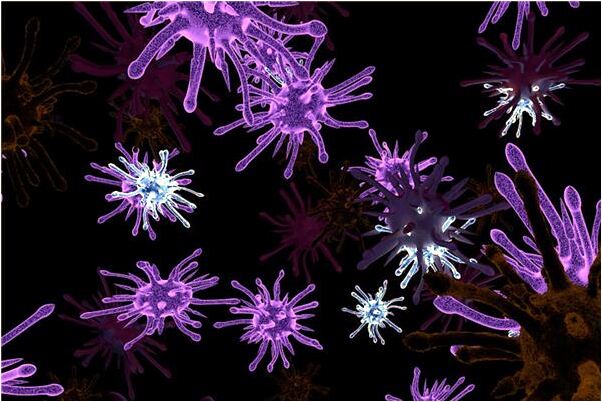 夢到口袋的東西全掉出來了有什麼寓意嗎？_周公解夢官網