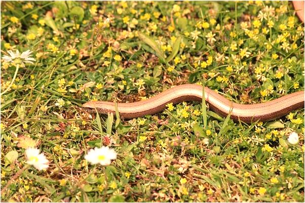 夢到男人流產失敗是啥預兆_周公解夢官網