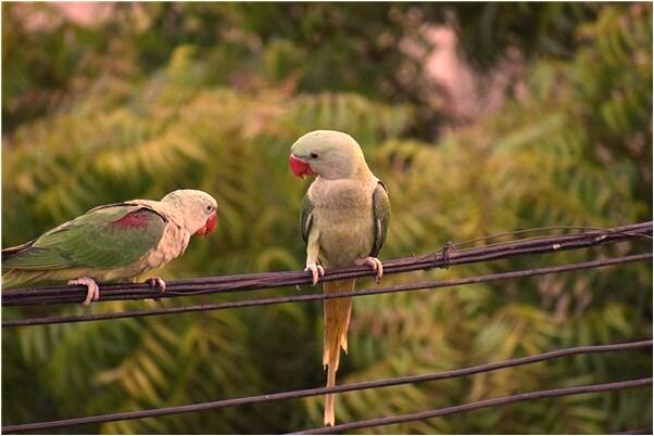 夢到了自己被人一槍打死了有什麼含義_周公解夢官網