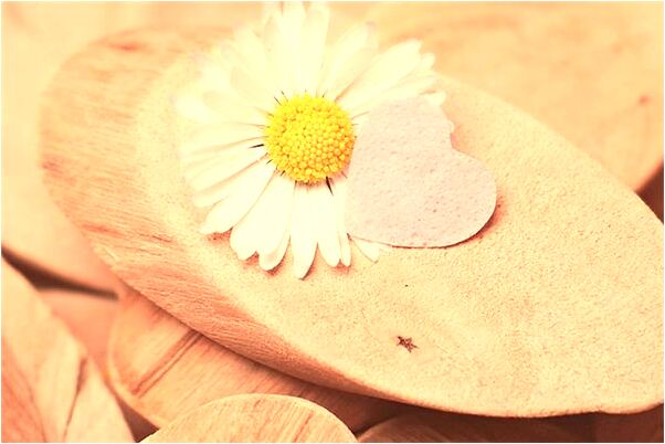 夢見已故親人在夢中生病有什麼意思嗎_周公解夢官網