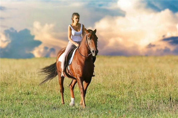 夢見被馬踢是什麼意思_周公解夢