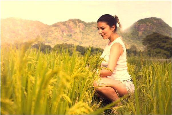 夢見自己無緣無故的結婚了會是什麼預兆_周公解夢官網